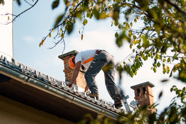 Best Roof Maintenance Services  in Harrison, NJ