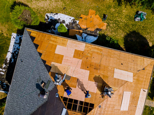Best Roof Repair Services  in Harrison, NJ