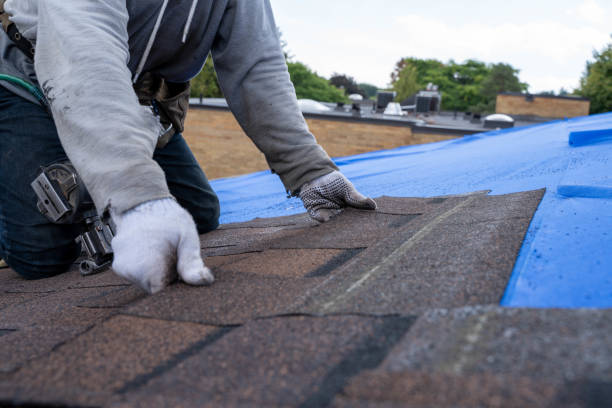 Best Flat Roof Repair Services  in Harrison, NJ