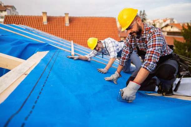 Best Metal Roofing Contractor  in Harrison, NJ