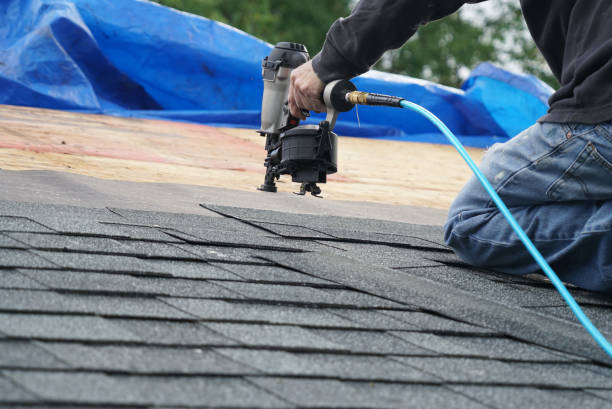 Best Storm Damage Roof Repair  in Harrison, NJ