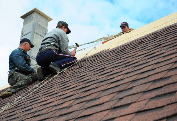 Best Affordable Roof Replacement  in Harrison, NJ